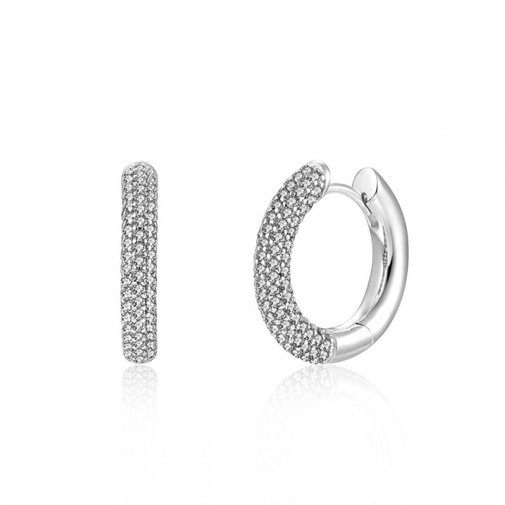 Diva earrings (silver and gold)