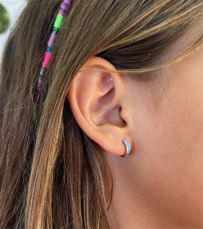 Turquoise earrings (silver and gold)